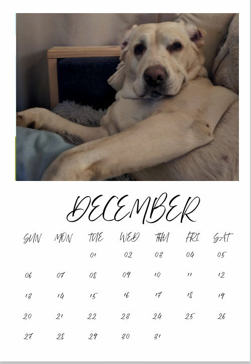 Personalised Magnetic Calendar B7 (130 x 90 mm) UK